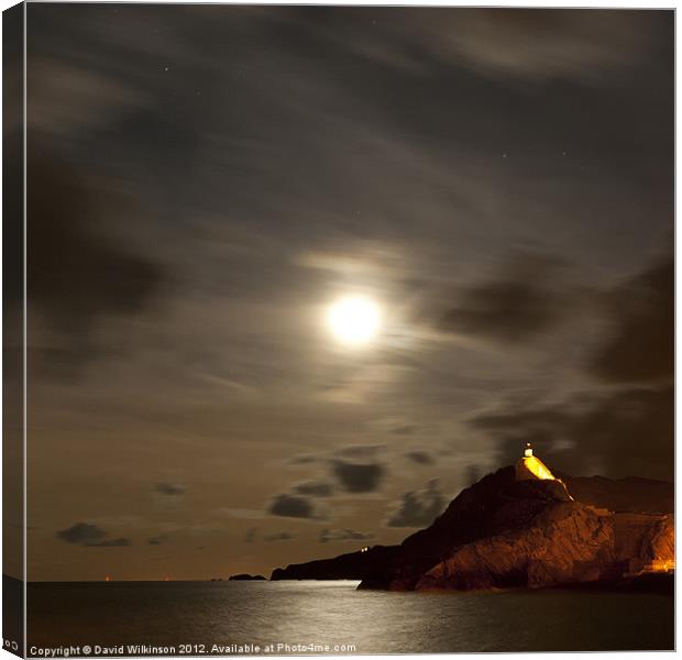 Ilfracombe by night Canvas Print by Dave Wilkinson North Devon Ph