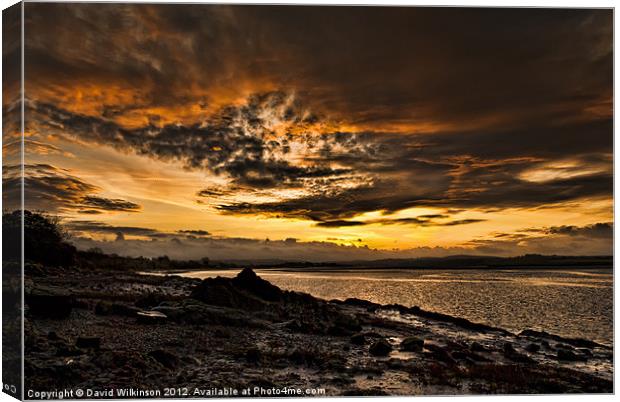 Early morning Bait digging Canvas Print by Dave Wilkinson North Devon Ph