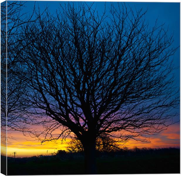 Silhouette Canvas Print by Dave Wilkinson North Devon Ph
