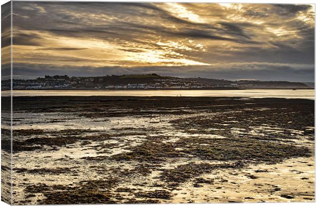 Taw Torridge Estuary Canvas Print by Dave Wilkinson North Devon Ph