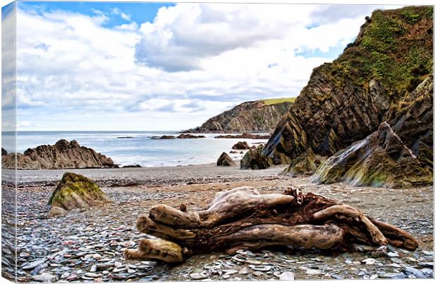 Sandy Cove, Lee Bay Canvas Print by Dave Wilkinson North Devon Ph