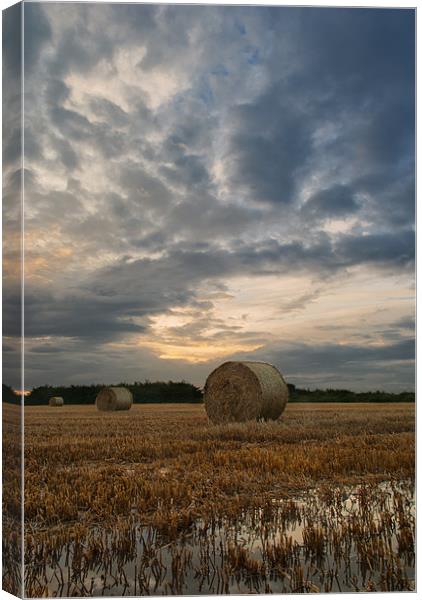 Straw Bales Canvas Print by Dave Wilkinson North Devon Ph