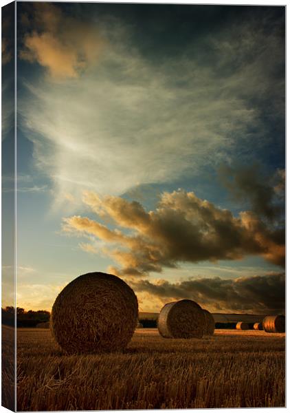 Straw Bales Sunset Canvas Print by Dave Wilkinson North Devon Ph