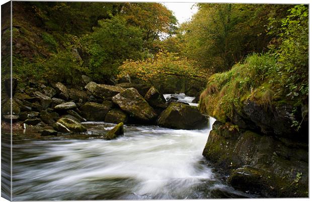 River Lyn Canvas Print by Dave Wilkinson North Devon Ph