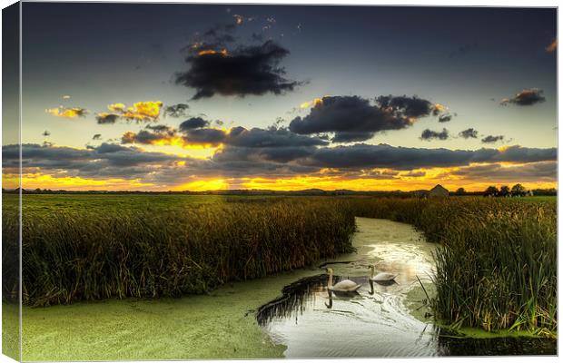 Braunton Marsh North Devon Canvas Print by Dave Wilkinson North Devon Ph