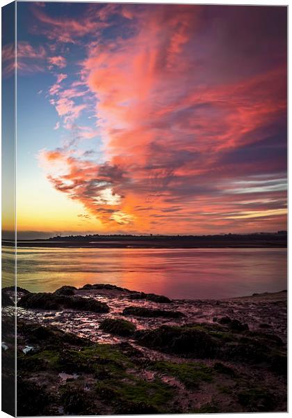 River Taw sunrise Canvas Print by Dave Wilkinson North Devon Ph