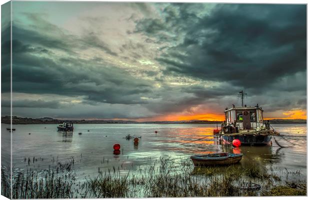 Houseboat on the River Taw Canvas Print by Dave Wilkinson North Devon Ph