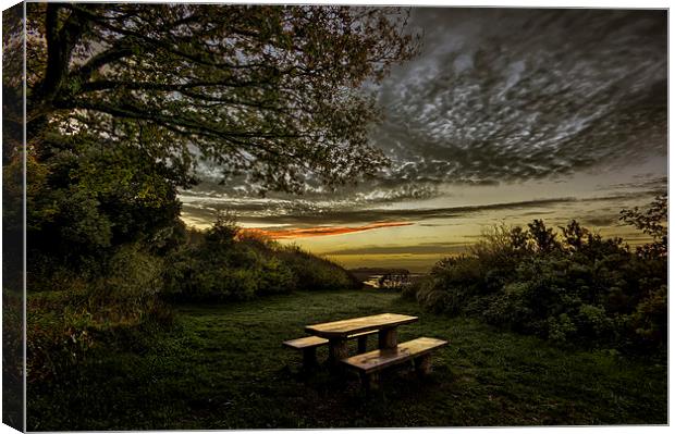 Picnic area Canvas Print by Dave Wilkinson North Devon Ph