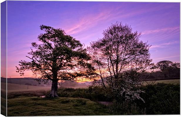 Knowl Water sunrise Canvas Print by Dave Wilkinson North Devon Ph
