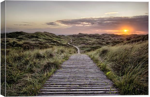  Path to the sea Canvas Print by Dave Wilkinson North Devon Ph