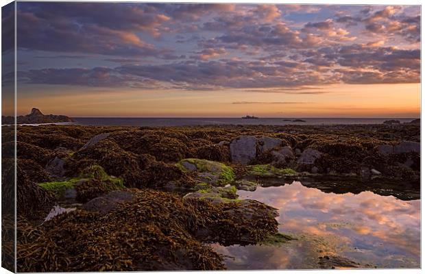  Lee Bay North Devon Canvas Print by Dave Wilkinson North Devon Ph