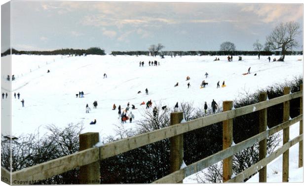 Winter Snow Scene with Sledging Canvas Print by Rick Parrott