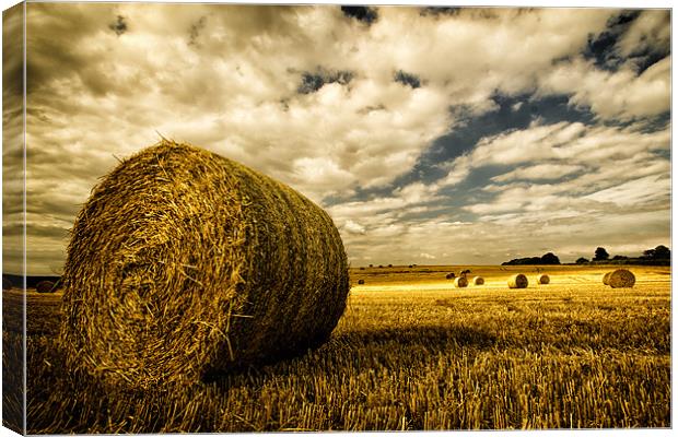 Harvest Time in Lincolnshire Canvas Print by Rick Parrott