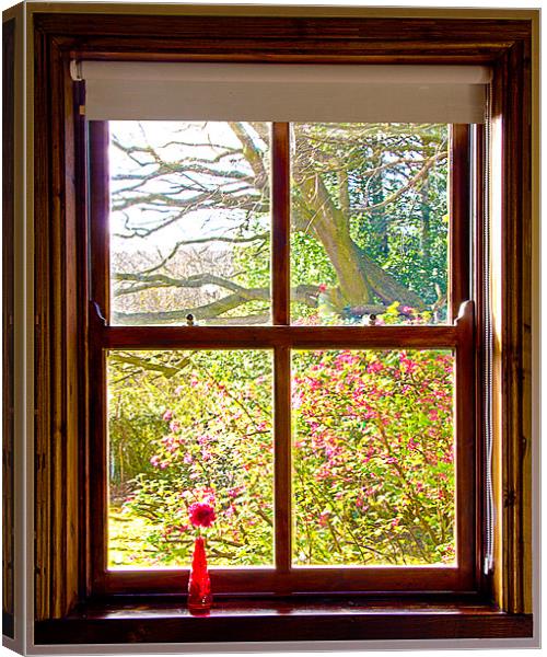 Looking through the window Canvas Print by Rick Parrott
