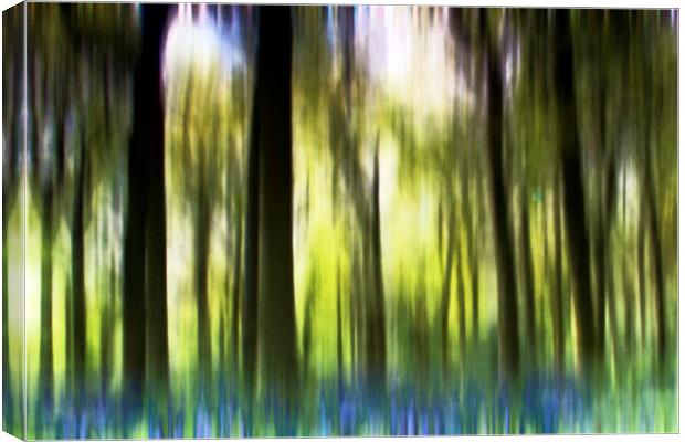 Bluebell Wood Canvas Print by Rick Parrott
