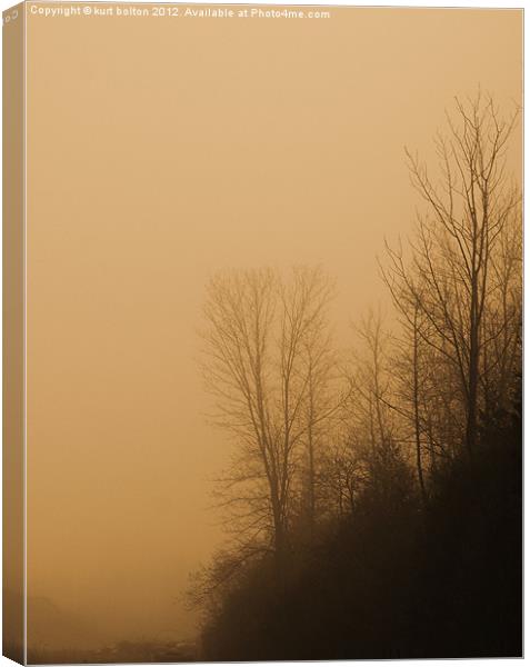 Forest Fog Canvas Print by kurt bolton