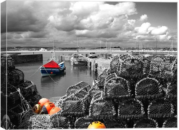 Beadnall Harbour Canvas Print by Colin Chipp