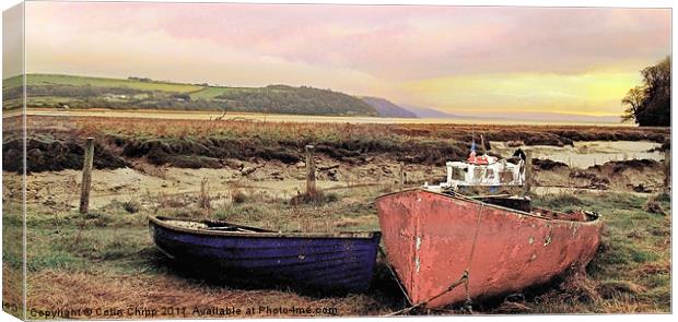 Llansteffan boats Canvas Print by Colin Chipp
