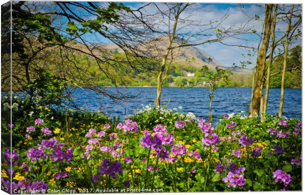 Rydal woodland Canvas Print by Colin Chipp