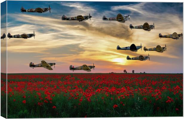 Spitfires Over The Poppy Field Canvas Print by Derek Beattie