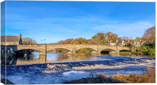 Cree Bridge Newton Stewart Canvas Print by Derek Beattie