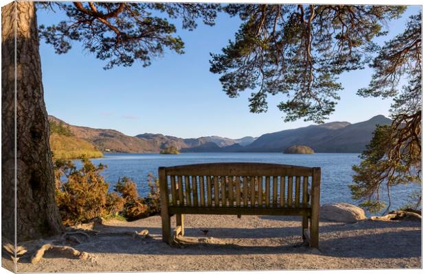 View from Friars Crag, Derwent Water, Keswick Canvas Print by Derek Beattie