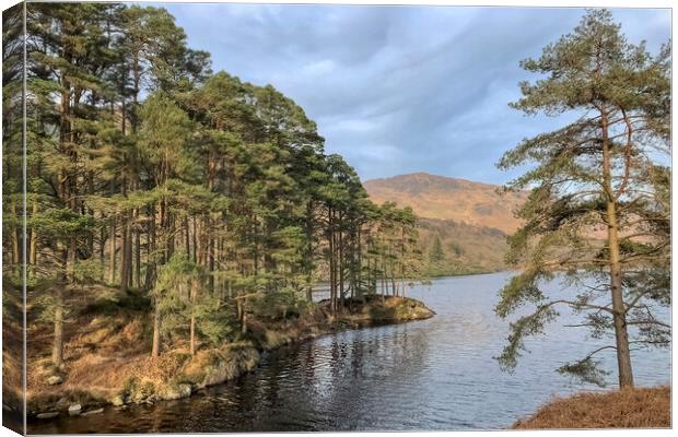 Loch Trool Canvas Print by Derek Beattie