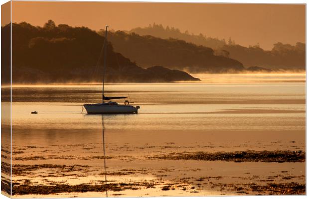 Yacht at sunrise on Loch Sunart Canvas Print by Derek Beattie