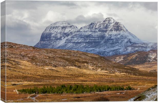 Suilven on a Winters Day Canvas Print by Derek Beattie