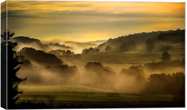 Early Morning in the Ardennes Canvas Print by Steven Else ARPS