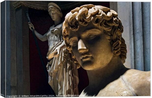 Antinous' Gaze Canvas Print by William AttardMcCarthy