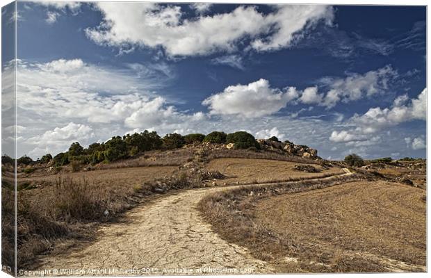 Countryside Canvas Print by William AttardMcCarthy