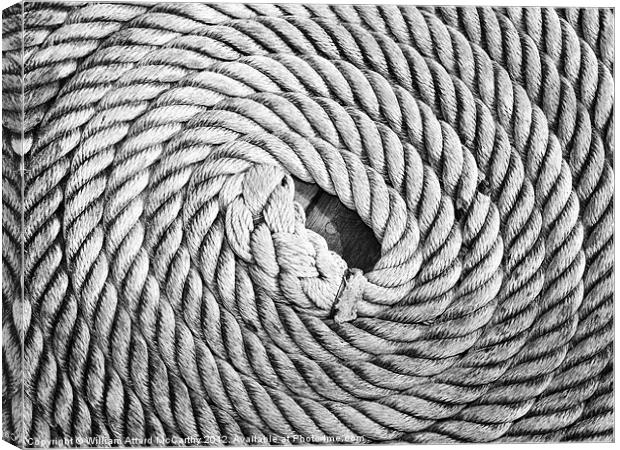 Twirled Rope Canvas Print by William AttardMcCarthy