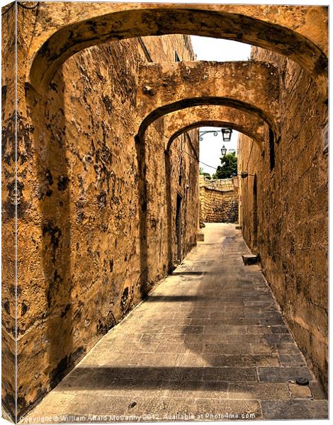 Zenqa Street Canvas Print by William AttardMcCarthy