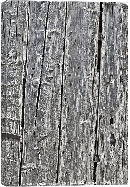 Aged Timber Canvas Print by William AttardMcCarthy