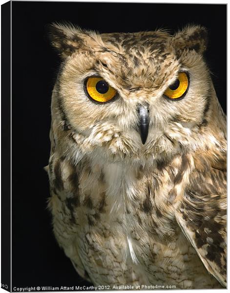 The Owl Canvas Print by William AttardMcCarthy