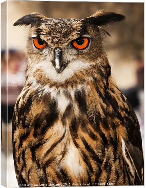 Eagle or Horned Owl Canvas Print by William AttardMcCarthy