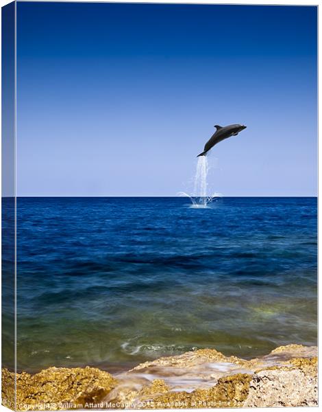Flight of the Dolphin Canvas Print by William AttardMcCarthy