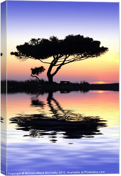 Tranquility at Water's Edge Canvas Print by William AttardMcCarthy