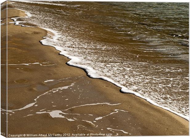 Tropical Beach Detail Canvas Print by William AttardMcCarthy