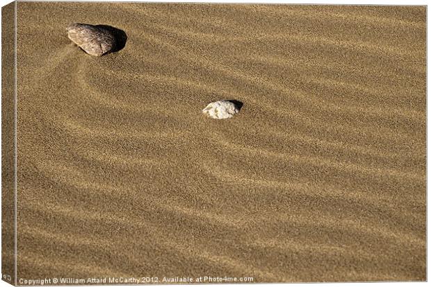 Sand and Stones Canvas Print by William AttardMcCarthy