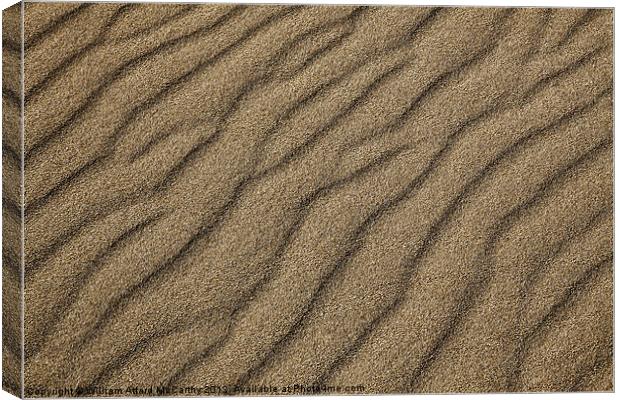 Dune Canvas Print by William AttardMcCarthy