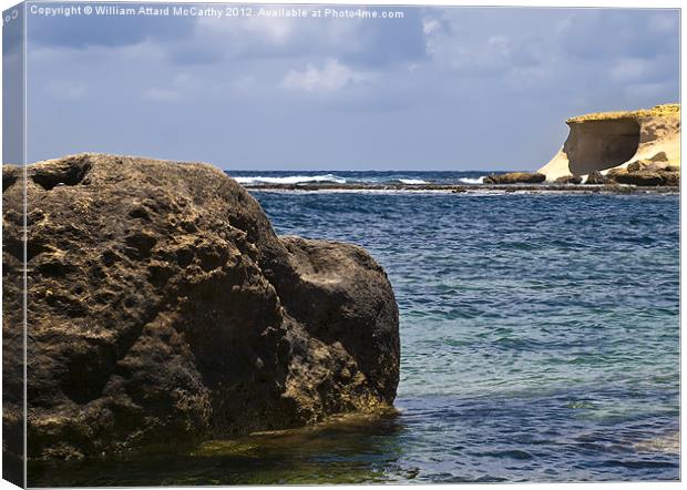 Coast and Rock Canvas Print by William AttardMcCarthy