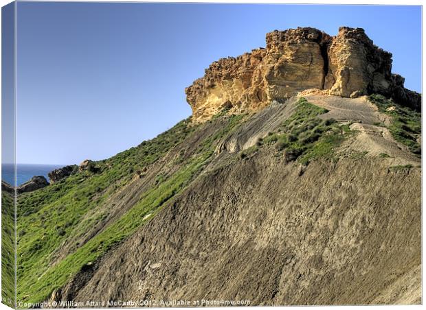 Karraba Canvas Print by William AttardMcCarthy