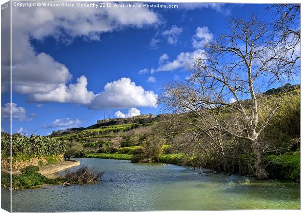 Chadwick Lakes Canvas Print by William AttardMcCarthy