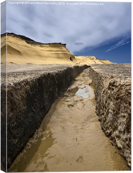 Valley of Mystery Canvas Print by William AttardMcCarthy