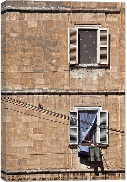 Urban Life in Valletta Canvas Print by William AttardMcCarthy