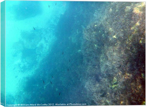 Underwater Cliff Canvas Print by William AttardMcCarthy