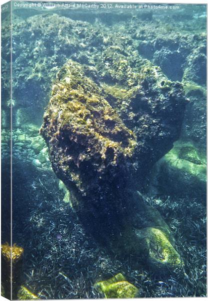 Underwater Rock Canvas Print by William AttardMcCarthy