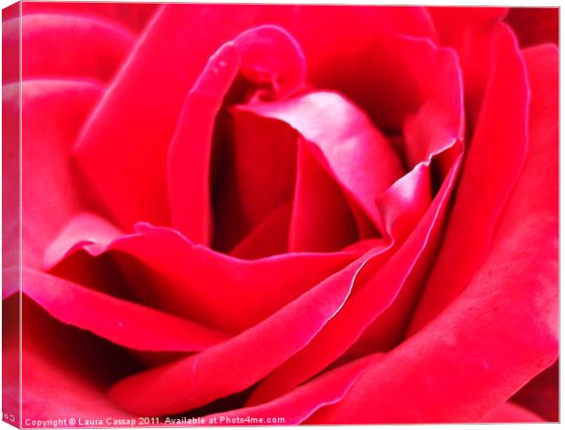 Heart of the Rose Canvas Print by Laura Cassap